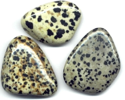 »Dalmatian Stone« is NOT a Jasper